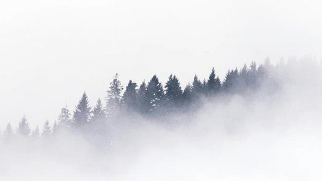 mobile-banner-products